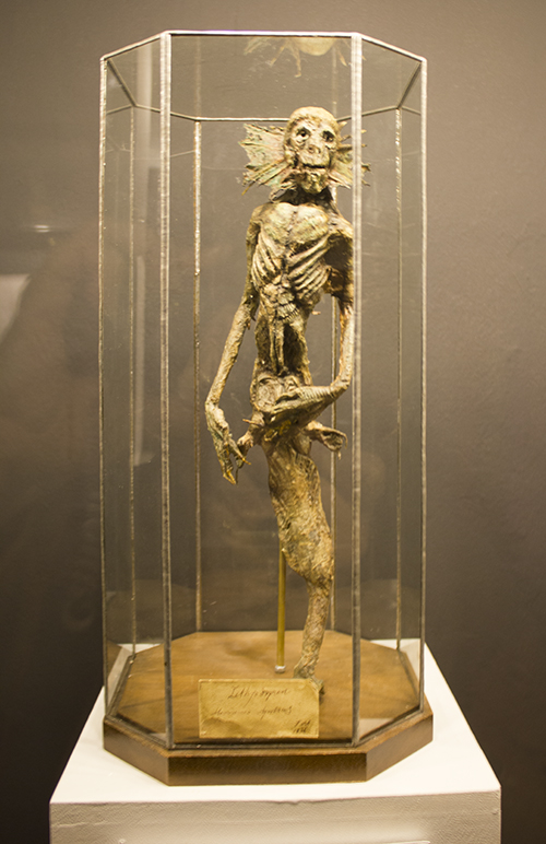 foto af skelettet af en lille havmand