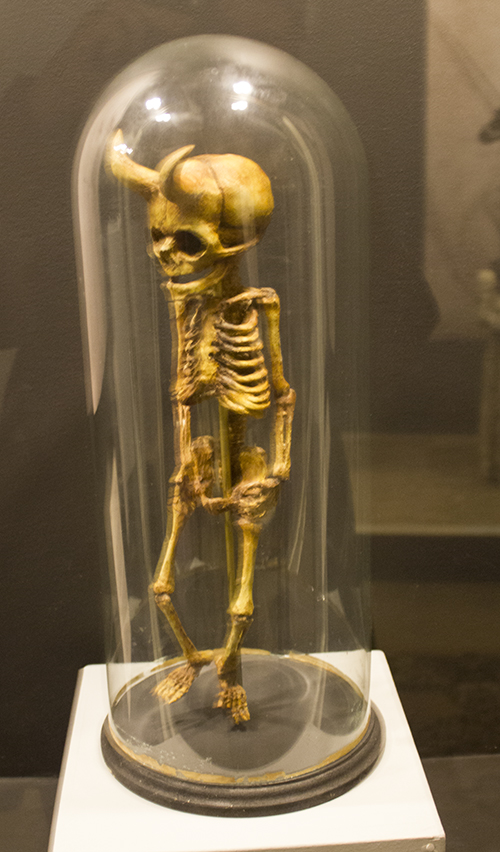 foto af skelettet af nisse med horn