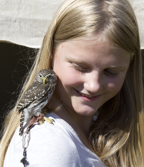 Foto af pige med en bittelille ugle på skulderen