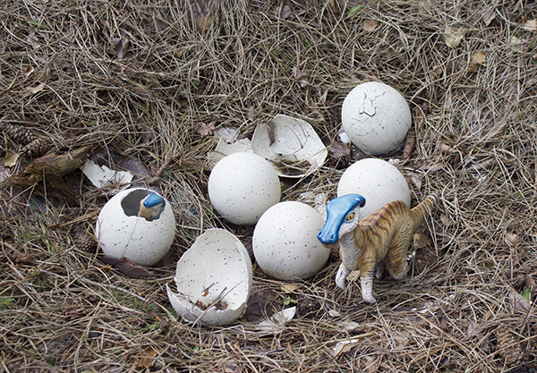 foto af 'dinosauræg' og en unge