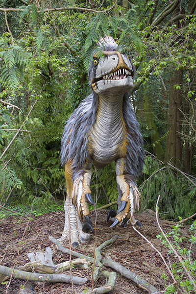 foto af dinosaurusmodel med fjerdragt