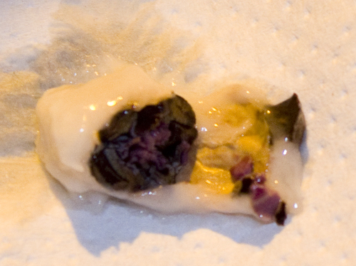 Frisk kakaobønne. Frugtkødet smager som melon. Foto: FP Anduin