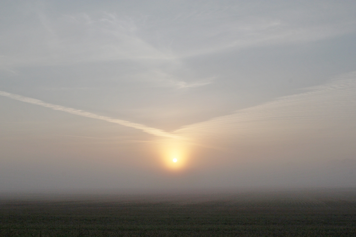 Mit foto af en solopgang med vinger over marken overfor mit hus i Lille Musse